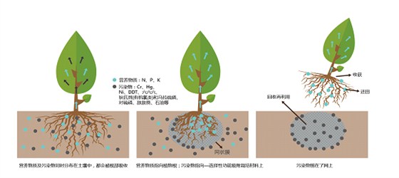 功能吸附材料